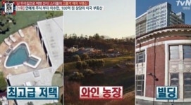 ‘명단공개’ 이수만, LA에 저택·와인농장·빌딩 등 100억대 부동산 소유