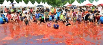 ‘제 14회 퇴촌토마토 축제‘가 성료…25만명 다녀가