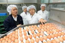 NH농협은행, 한국판 라보뱅크 추진…2020년 농ㆍ식품 여신 점유율 40%달성 목표