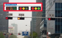 헷갈리는 버스차로 신호…버스모양 삼색등 달린다