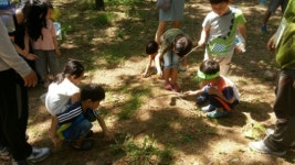 서울 월드컵공원으로 맹꽁이ㆍ반딧불이 보러갈까?