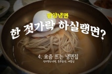 [한 젓가락 하실랭면] 떠오르는 샛별 ④진미평양냉면, 동무밥상, 배꼽집
