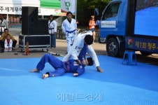 청주무예마스터십, 청주야구장 게릴라 무술쇼