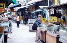 [포토에세이] 느리지만 정직한 곳…예지동의 시계는 거꾸로 간다