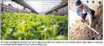 [‘착한 미래’친환경농업] 건강하고 행복한 삶…친환경농식품서 해답을 찾다