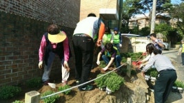 구리시, 가을꽃향기 넘치는 거리조성