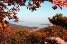 인천도 다도해다…바다 품은 서해 섬 단풍