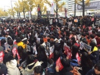 전국 반박(反朴) 집회 열리는 동안 행락객 줄었다