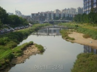 안양천, 환경부가 뽑은 생태하천복원사업 최우수 사례로 선정
