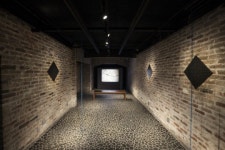 아라리오뮤지엄 ‘소용돌이 숲’ 특별 상연