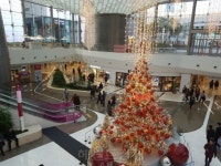 ‘하얀 코엑스 위, 신세계 색깔 입히기’ …스타필드 코엑스몰점, 실험 성공할까?