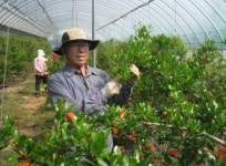 [이달의 6차산업인-12월 주인공] 에덴식품영농조합법인 송재철 대표…“친환경 유자와 석류로 새 차원 6차산업화 성공”