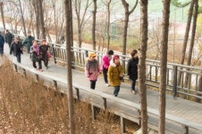 양천구, 용왕산ㆍ계남공원 811m 무장애 숲길 조성