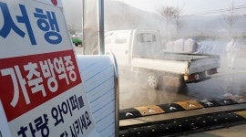 경남도 뚫렸다 ...양산시 농가서 첫 가금류 AI 확인