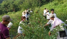 1박 2일‘유기농라이프’체험…청년들 농업미래를 보다