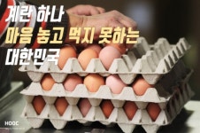한국 ‘계란 대란’…미국 양계업계 호재