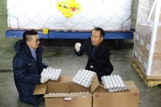 흰색 계란, 국내서 왜 사라졌나…한땐 90%가 백란