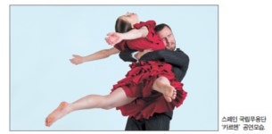 [공공연한 이야기] 백조의 호수·돈키호테…정유년 ‘발레의 향연’