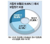 車 정비업체-보험사 갈등소비자만 새우등 터지나