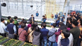 영그는 영농인의 꿈