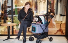 [보도자료] 롯데닷컴, 반려동물 종합박람회 ‘디어펫페어(Dear Pet FAIR)’ 개최