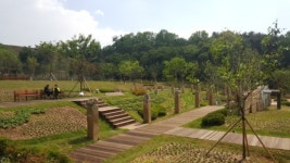 버림받던 오금배수지, 명품공원 됐다