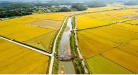 김윤식 시흥시장, “‘보통천’을 주민이 즐거운 하천으로”