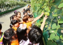 금천구청 옥상텃밭서 유치원생 생태투어