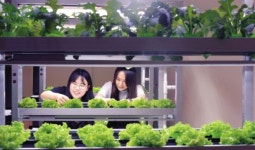 [포토에세이] 나, 몸이 자꾸만 부르는 푸르름…도시농업은 힐링