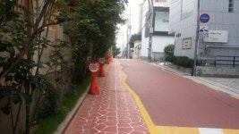 강남구, 교통약자 보호구역 내 교통안전시설물 187건 정비