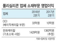 태양광 빛나는데…빛 못보는 폴리실리콘
