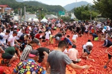 토마토로 하나 되다…오뚜기, ‘화천 토마토축제’ 후원