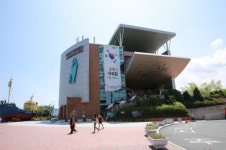 울산 장생포고래박물관, ‘태극기 휘날리며’ 광복절 특별이벤트