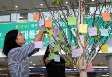 용산공원 소망나무에 걸린 25만가지 소망
