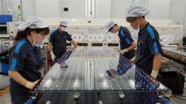 [점프업 강소기업 19] 평택공장 가보니…모든 공정마다 수작업 품질검사…제품 생산속도보다 정확성 우선