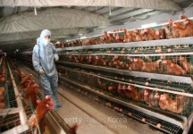 [슈퍼리치] ‘클린미트’에 투자하는 빌게이츠ㆍ리처드 브랜슨