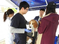 가을엔 공원서 반려견 무료검진 받으세요