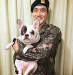 최시원 애완견 브랜드 중국사업 준비…한일관 대표 사망으로 빨간불