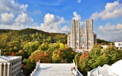 경희대학교 경영대학원 외식 스타트업 MBA 모집