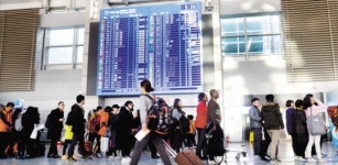 디엠면세점(양양국제공항점) | 양양공항 면세점, 올림픽 앞두고도 찬밥