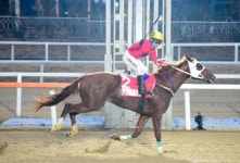 ［헤럴드e렛츠런］‘액톤블레이드’, 브리더스컵 우승…2세 챔피언 등극