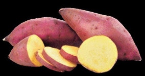 “땅의 기운을 먹는다”…팔방미인 ‘뿌리채소’