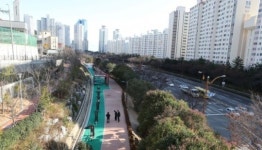 청산가리 6000배 독나무…해운대구청, 초등학교 앞에 식재