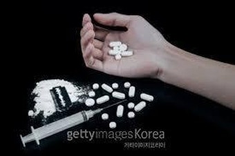 벨기에 무역항에서 7t 규모 코카인 밀수 적발