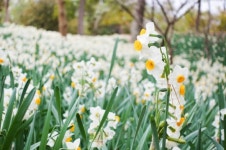 한파에 자유로운 제주, 엄동설한에 가볼 만한 곳