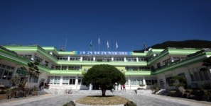 평창 알파인 도시 정선군, 관광지 무료 순환버스 운행