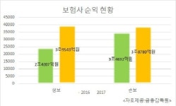 순익 33% 늘어도…편치않는 보험사