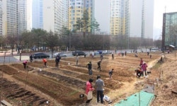 마포구, 상암동 등 ‘자투리텃밭’ 분양