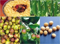 봉평메밀·올챙이묵… 강원도 향토 먹거리 ‘맛의 방주’에 오르다