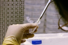 ‘바이오’ 불씨 당기는 후발주자…신사업 꿈꾼다